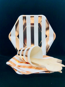 Biodegradable Picnic set for 2